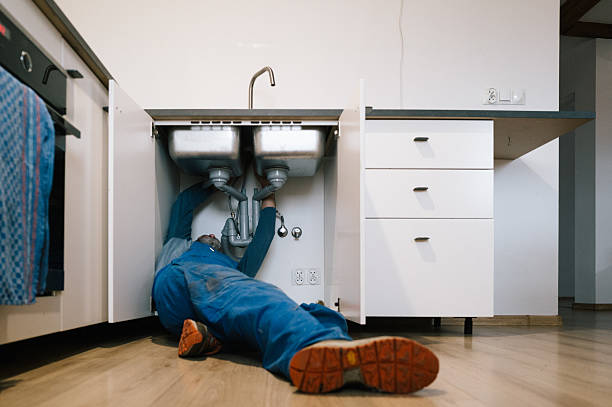 Professional Plumbing technician working in Fraser, MI